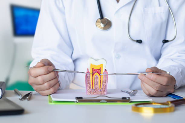 Best Pediatric Emergency Dentist in Winnie, TX